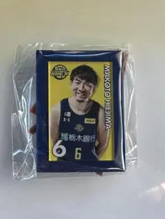 比江島慎　宇都宮ブレックス　ミニチュアアートイーゼル