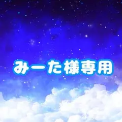 みーた様 専用 詳細ページ