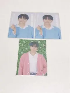 ハルコン トレカ スングァン