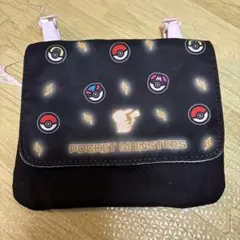 ポケットモンスター 移動ポケット