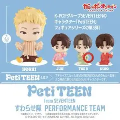 SEVENTEEN petiteen the8 ミョンホ すわらせ隊
