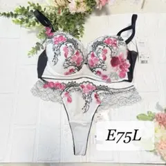 2026年最新】サルート91の人気アイテム - メルカリ