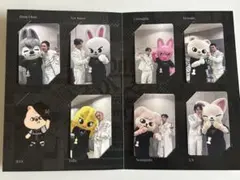 スキズ 楽天ブックス 購入特典 両面 トレカ 7枚セット - メルカリ