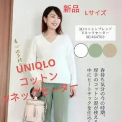 3DコットンブレンドVネックセーター（長袖） オフホワイト　Lサイズ