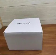 2026年最新】ウッドボックス ドテラの人気アイテム - メルカリ