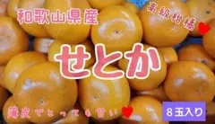 2026年最新】みかんキングの人気アイテム - メルカリ