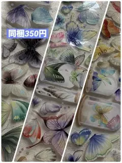 海外マステ 水晶PET 切り売り 6cm幅 蝶装飾　1ループ