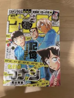 2025年週刊少年サンデー52号特別付録 灰原哀 プロモカード PR194