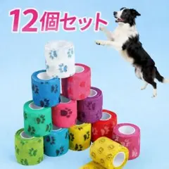 Item thumbnail for item 8481066c-4a47-4c83-8321-64ca36e53c4d