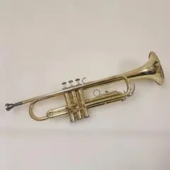 Item thumbnail for item 6439f734-e2d4-4374-b81b-ac14ed335a91