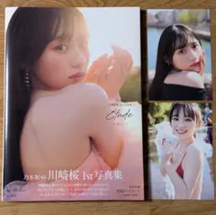 乃木坂46 川崎桜 1st写真集 Etudeエチュード プレゼント応募券 14枚