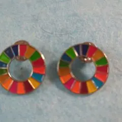 SDGsピンバッジ25ミリ✕ 2個セット　お値下げさい