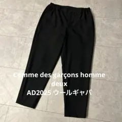 2026年最新】COMME des GARCONS HOMME DEUX メンズ スラックスの人気