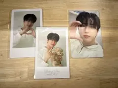 Perfect Day with stray kids フォトカード チャンビン