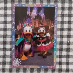 ドナルド　デイジー　ハロウィン　スペシャルフォト