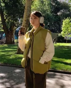 柴田ひかり 90s パタゴニア Patagonia Penfield ベスト