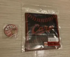 広島カープ ×あげ太くん コラボ 缶バッチ+ガーゼハンカチ(床田投手19)セットのサムネイル
