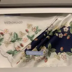 Item thumbnail for item 4976ed49-0bdd-44aa-8e33-19b3b8b05788