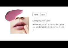 カネボウ ルージュスターブリーズ　EX2 口紅　リップスティックのサムネイル
