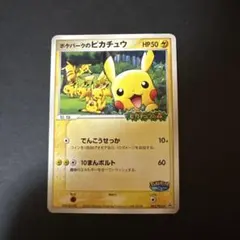 ポケパークのピカチュウ PROMO PCG-Pプロモカード 043/PCG-P