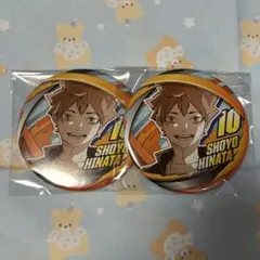 日向翔陽　ハイキュー　コレクション缶バッジ　FUN ファンパーク