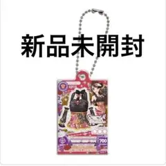 アイカツ！だれでもアイドル活動チャーム3 紫吹蘭 新品 即購入可