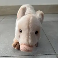 Item thumbnail for item 2dc1fcd9-43a8-4b52-b8c7-d796013f6d75