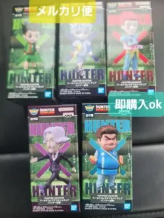 HUNTER×HUNTER ワールドコレクタブルフィギュア-ハンター試験-