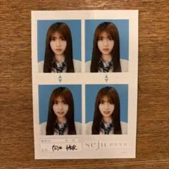 2026年最新】向井怜衣の人気アイテム - メルカリ