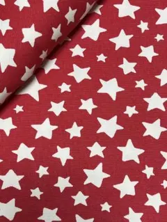 15ෆ˚*【1m】キャスキッドソン・デニム生地