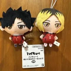 ハイキュー　ぬいぐるみちゃーむ　セット