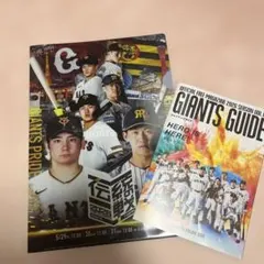 非売品あり】ジャイアンツグッズ クリアファイル 12枚セット①まとめ