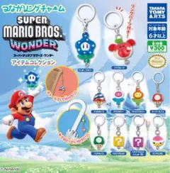 スーパーマリオブラザーズ ワンダー アイテムコレクション 4つセット