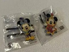 ディズニー ピンバッジ ミッキー ミニー 2種セット