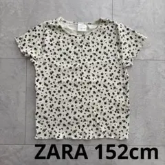 【美品】ZARA 花柄 リブTシャツ 152cmのサムネイル