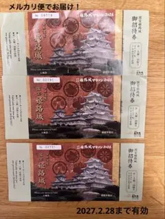 メルカリ便！姫路城入場券　3枚セットのサムネイル