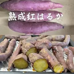 茨城県産熟成　紅はるか 不揃い品5キロ　※ご自宅用に！