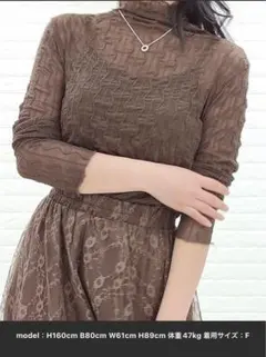 【新品】Lace Ladiesメロウフリル シースルータートルのサムネイル