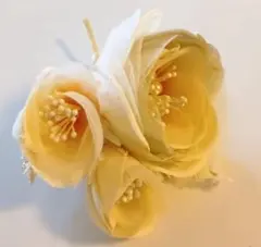 Item thumbnail for item 99c72ab4-64f7-44cc-95c9-b26281c2d01d