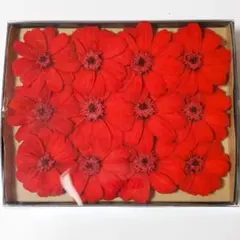 ジニア プリザーブドフラワー レッド 12輪 ハンドメイド花材