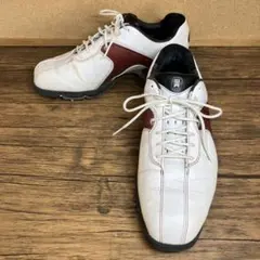 2026年最新】ナイキ nike タイガーウッズコレクションの人気アイテム