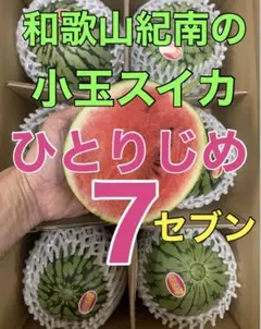 1001「ひとりじめ7」紀南の小玉スイカ6玉(家庭用)キルトパッチ　和歌山産のサムネイル