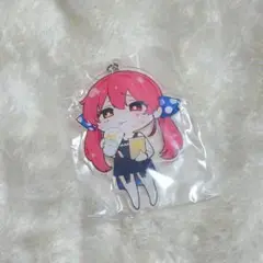 宝鐘マリン 大量 グッズ まとめ売り ホロライブ あかさあい 宝鐘マリン 抱き枕カバー 100万人記念グッズ あかさあい先生