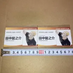 ハイキュー　ファンパーク 名刺カード　田中龍之介 2点セット