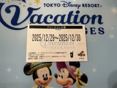 フリードリンク券　ディズニーバケーションパッケージ　12月29日〜30日　2日間
