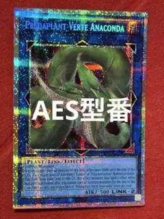 遊戯王　泰亜版　捕食植物ヴェルテ・アナコンダ　プリズマティックシークレットレア 遊戯王 泰亜版 捕食植物ヴェルテ・アナコンダ プリズマティック