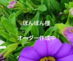 ★ぽんぽん様　オーダー作成中