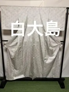 m*o様 ☘️オークション☘️ 【白大島紬】●泥染●生糸● 身丈 163裄丈 6 ☘️オークション☘️ 【白大島紬】○泥染○生糸○ 身丈 163裄丈 64.5