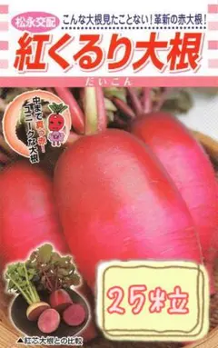 どんぐりころろん様 リクエスト 2点 まとめ商品