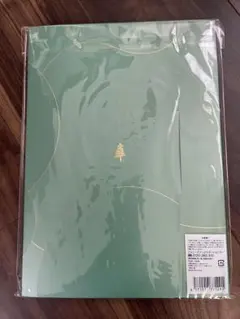 美品　キンプリ　Mr パンフレット